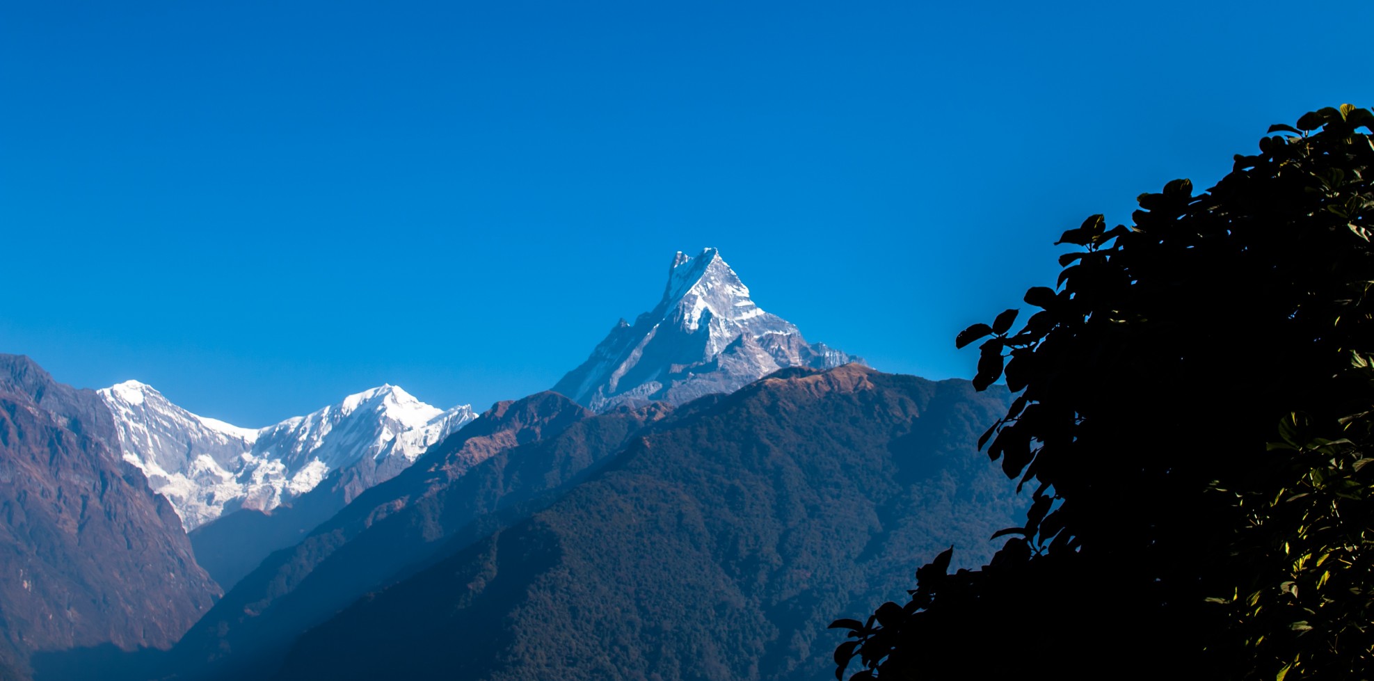 Apex Asia Travel & Tours